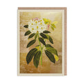 Rhododendron Greeting Card by Ohh Deer