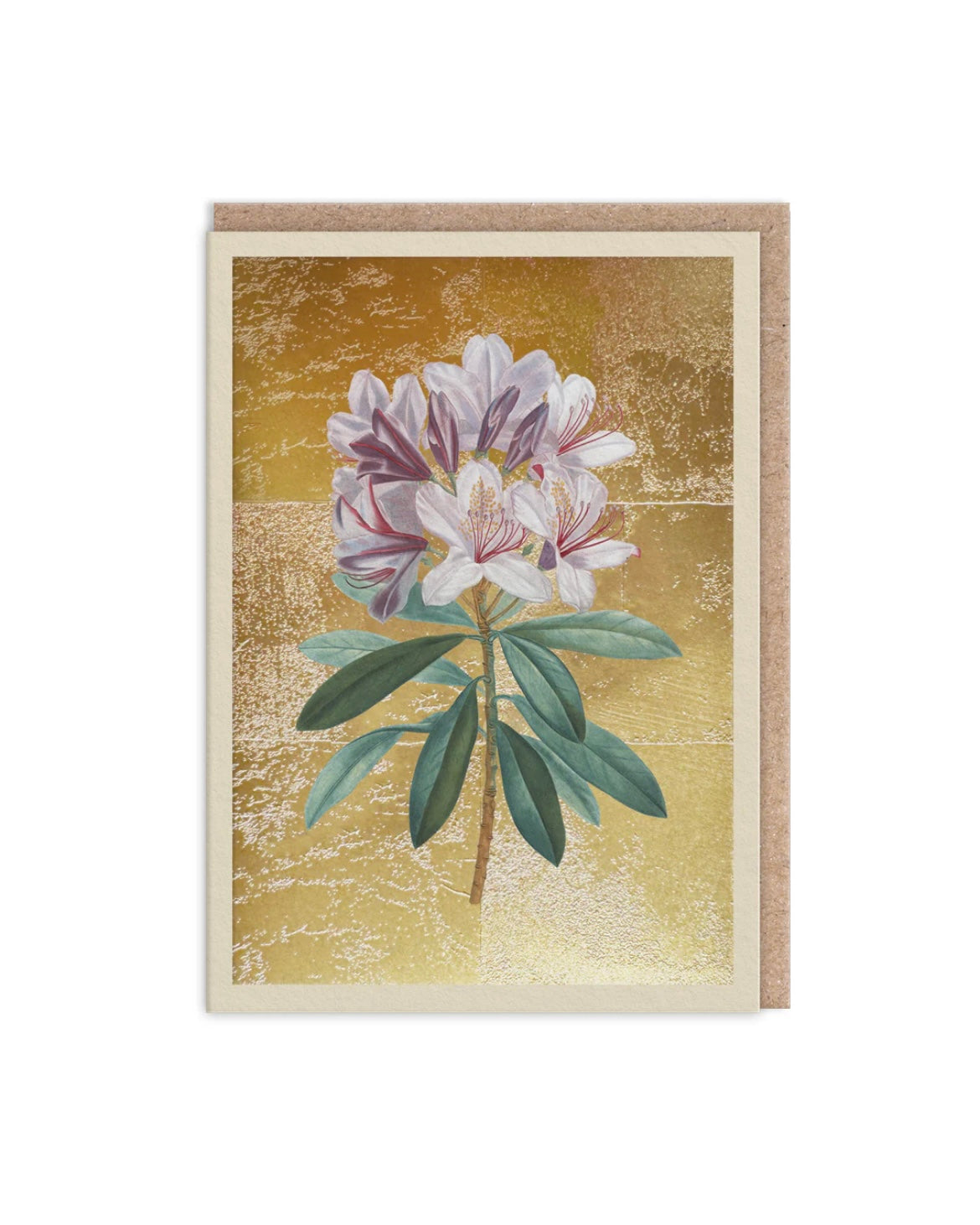 Rhodedendron Mini Greeting Card 
Designed by: Ohh Deer