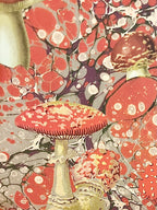 Marble Fungi Hardback Notebook A5 Designed by Ohh Deer