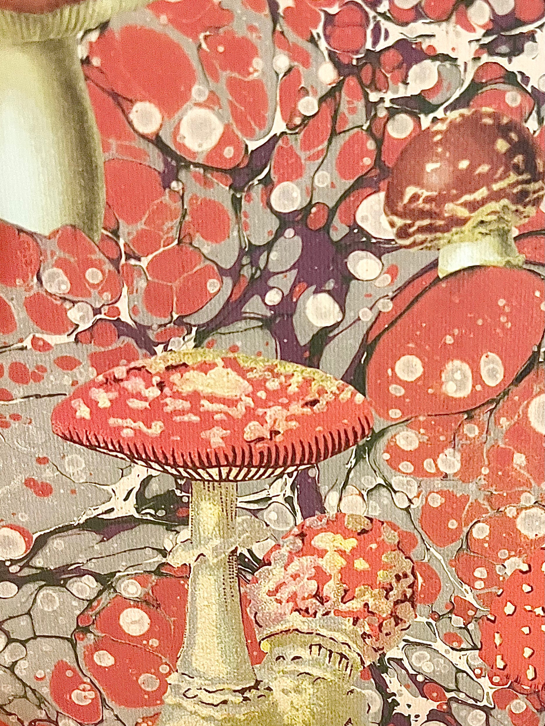Marble Fungi Hardback Notebook A5 Designed by Ohh Deer