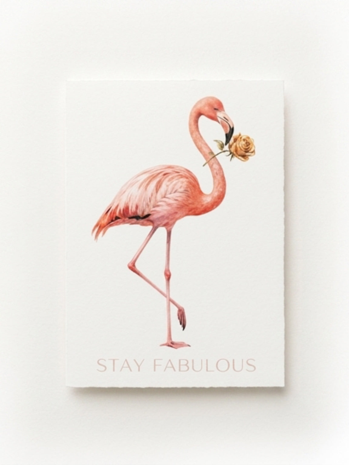 Stay Fabulous Pink Flamingo Card