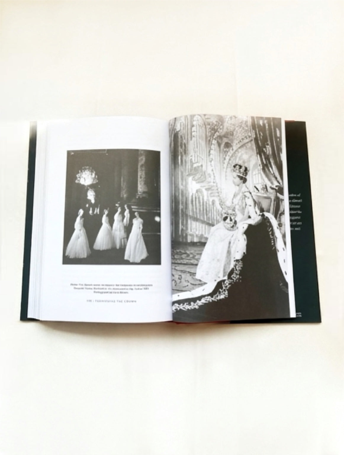 Fashioning the Crown : A Story of Power, Conflict and Couture
by Justine Picardie