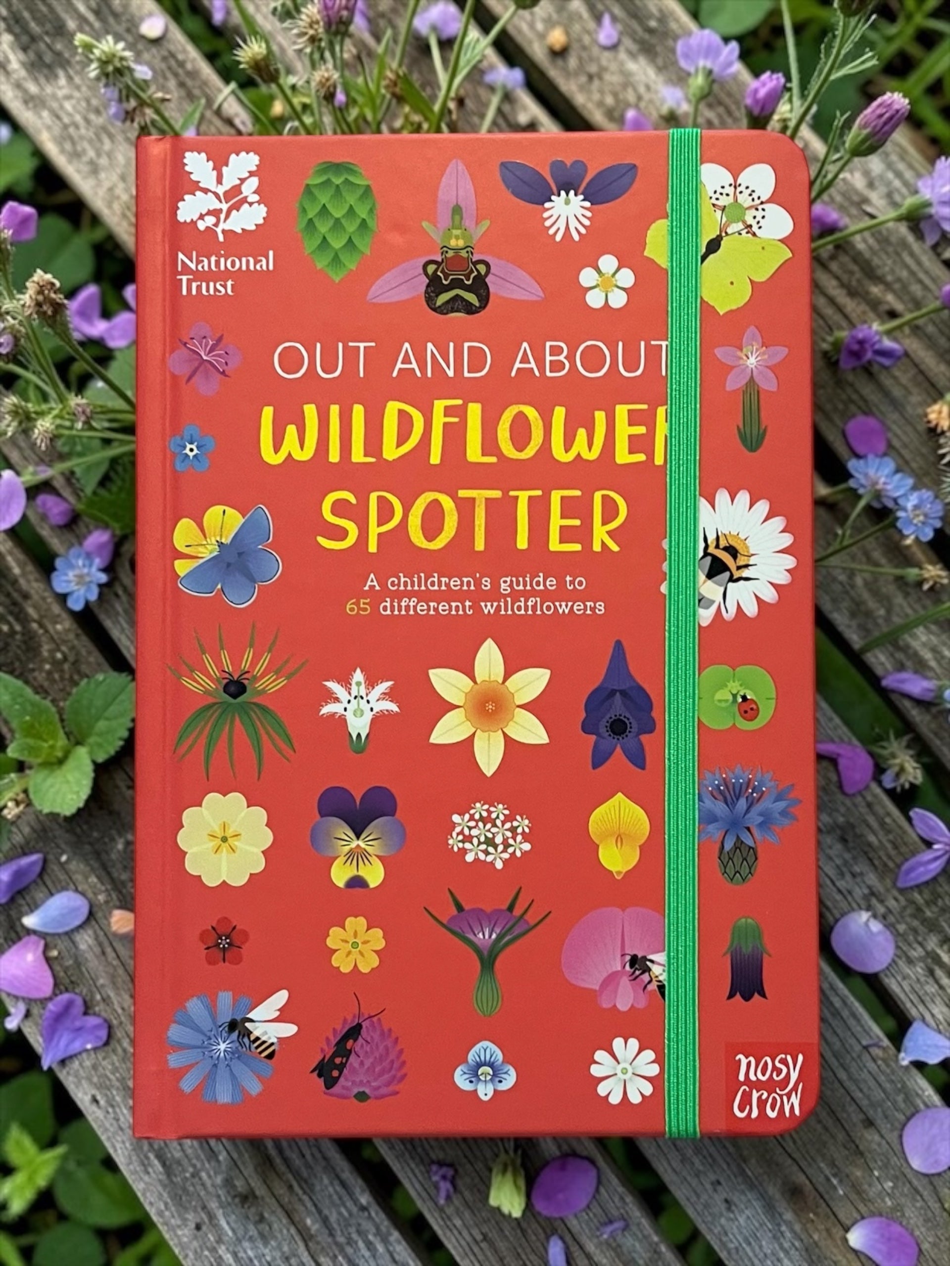 National Trust: Out and About: Wildflower Spotter : A children's guide to 65 different wildflowers
by Tegen Evans