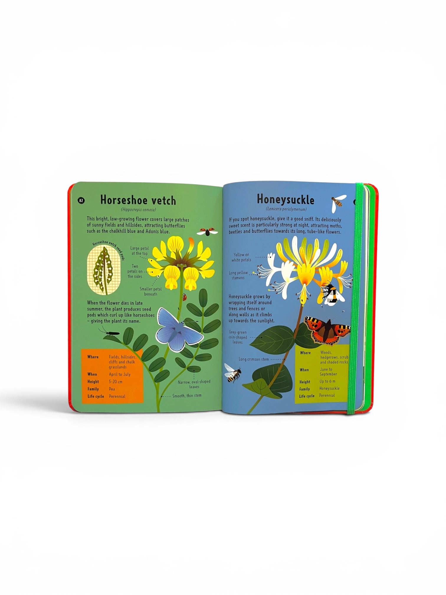 National Trust: Out and About: Wildflower Spotter : A children's guide to 65 different wildflowers
by Tegen Evans