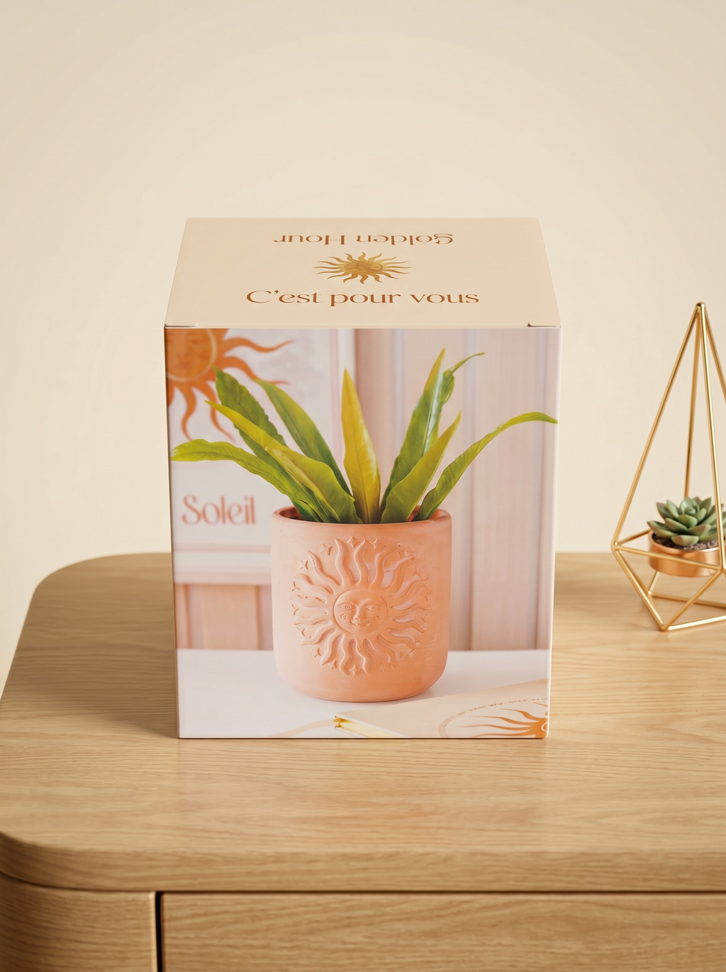 Embossed Sun Terracotta Plant Pot – Boho Golden Hour Planter