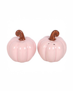 Pink Curly Pumpkin Ceramic Salt & Pepper Shaker Set